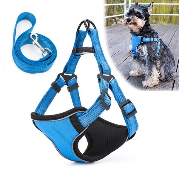 reflective pet dog harness breathable mesh padded vest soft adjustable with leash set step-in pitbull collars & leashes
reflective pet dog harness breathable mesh padded vest soft adjustable with leash set step-in pitbull collars & leashes