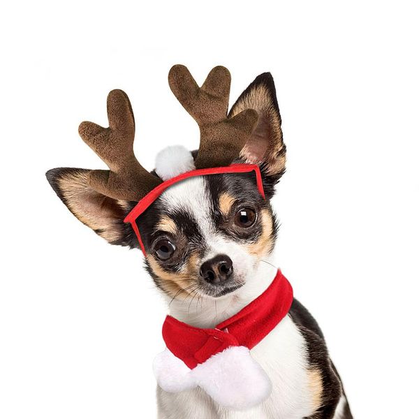 cat costumes cute pet costume antler headband & red scarf for dog christmas cosplay clothing funny adorable accessories
cat costumes cute pet costume antler headband & red scarf for dog christmas cosplay clothing funny adorable accessories
