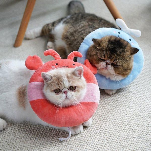 cat collars & leads pet dog collar adjustable e-collar wound healing soft cone smart prevent bite elizabeth circle protection
cat collars & leads pet dog collar adjustable e-collar wound healing soft cone smart prevent bite elizabeth circle protection