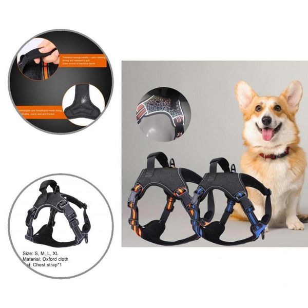 dog collars & leashes harness wearable soft safety adjustable non-sticky hair pet vest
dog collars & leashes harness wearable soft safety adjustable non-sticky hair pet vest