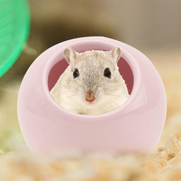 hamster summer cooling nest ceramic sleeping bed practical pet supply small animal supplies
hamster summer cooling nest ceramic sleeping bed practical pet supply small animal supplies
