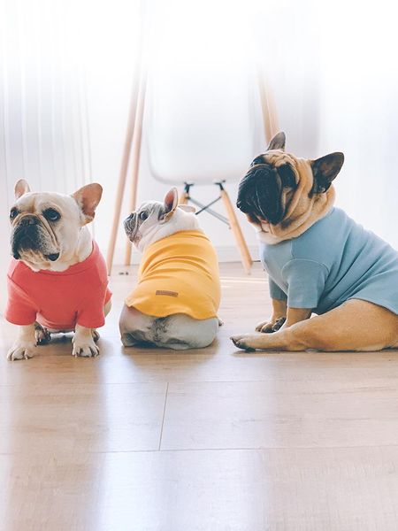 dog apparel fashion sweaters pet clothes for small dogs chihuahua cat winter sweater jacket ropa para mascotas products jj60gwy
dog apparel fashion sweaters pet clothes for small dogs chihuahua cat winter sweater jacket ropa para mascotas products jj60gwy