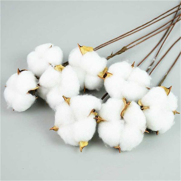 decorative flowers & wreaths 10pcs natural dried cotton white home artificial floral branch wedding fake flower bouquet party decor
decorative flowers & wreaths 10pcs natural dried cotton white home artificial floral branch wedding fake flower bouquet party decor