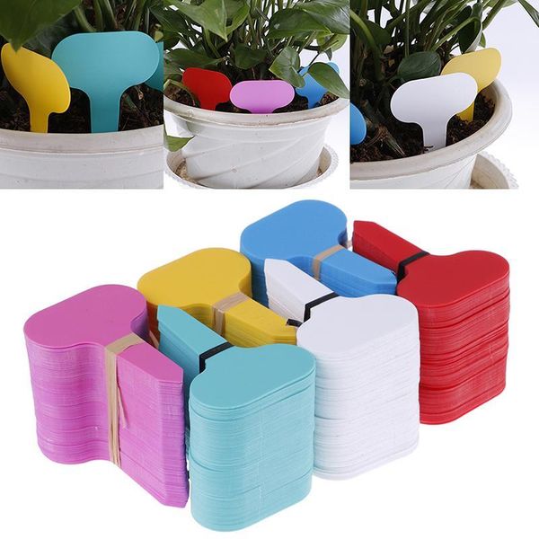 garden decorations 100pcs labels plant classification sorting sign tag ticket plastic writing plate board plug in card colorful k9
garden decorations 100pcs labels plant classification sorting sign tag ticket plastic writing plate board plug in card colorful k9