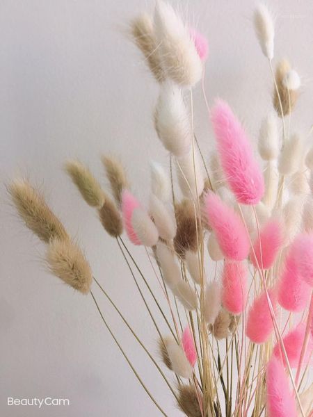 decorative flowers & wreaths 25/50/100/200/500 pcs natrual dried flower tail home decoration white black pink wholesale1
decorative flowers & wreaths 25/50/100/200/500 pcs natrual dried flower tail home decoration white black pink wholesale1
