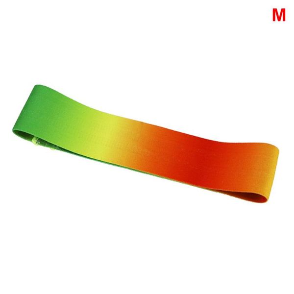 resistance bands elastic anti slip workout yoga band fitness leg shaping glutes gradient ramp exercise hip lift strength training
resistance bands elastic anti slip workout yoga band fitness leg shaping glutes gradient ramp exercise hip lift strength training