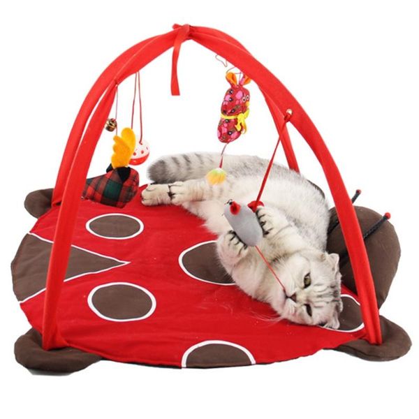 cat beds & furniture mats traing tortorise pet cats bed toys mobile activity playing pad blanket house tent toy
cat beds & furniture mats traing tortorise pet cats bed toys mobile activity playing pad blanket house tent toy