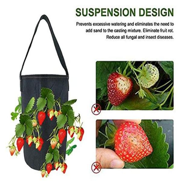 planters & pots 8/11 hole potato strawberry planter bags for growing potatoes outdoor vertical garden hanging open vegetable planting grow b
planters & pots 8/11 hole potato strawberry planter bags for growing potatoes outdoor vertical garden hanging open vegetable planting grow b