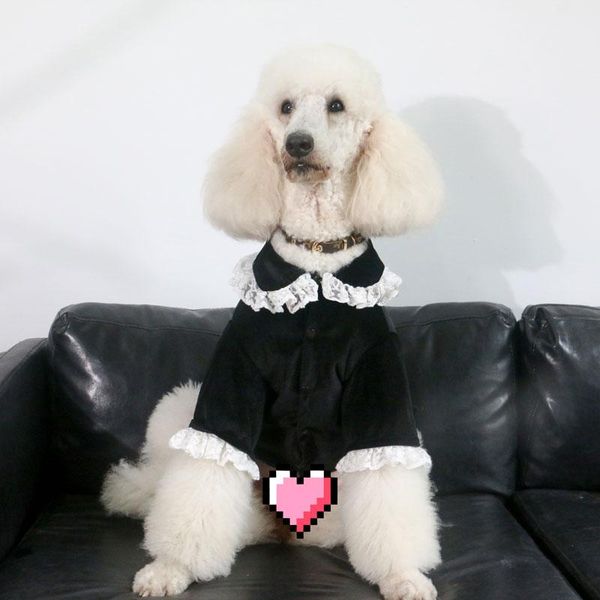dog apparel large clothes autumn and winter sweater golden retriever samoyed labrador giant poodle lace accessories
dog apparel large clothes autumn and winter sweater golden retriever samoyed labrador giant poodle lace accessories