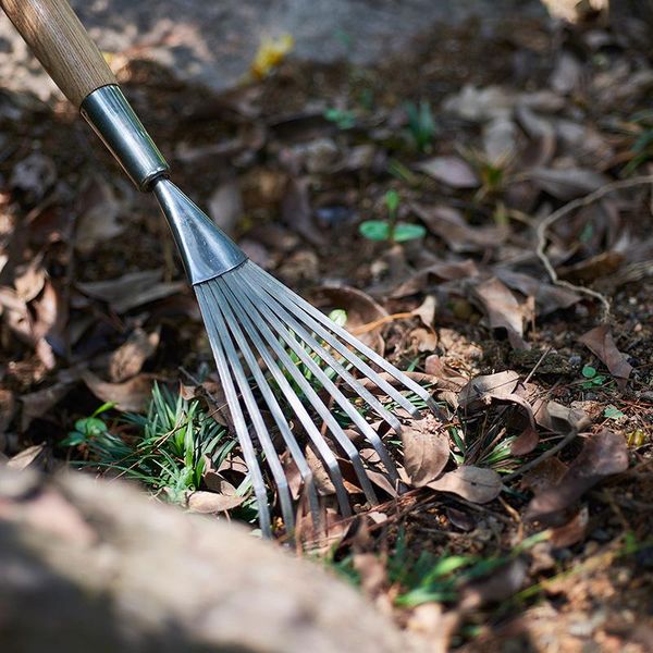 rake berry & bird stainless steel agricultural raking weeding deciduous lawn iron household scarifier hooks rails
rake berry & bird stainless steel agricultural raking weeding deciduous lawn iron household scarifier hooks rails