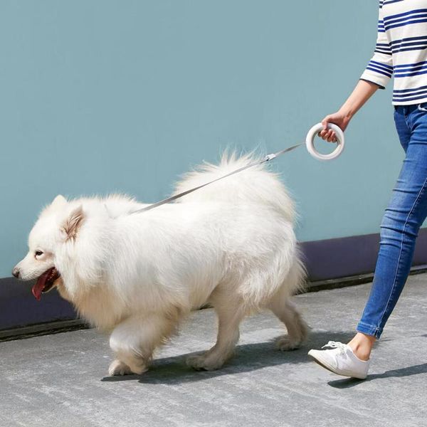updated moestar retractable pet leash ring flexible 3.0m dog traction rope collar led night light walk out collars & leashes
updated moestar retractable pet leash ring flexible 3.0m dog traction rope collar led night light walk out collars & leashes
