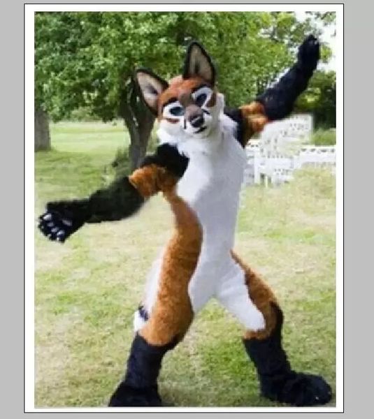 fursuit cartoon dress outfits long fur brown husky dog mascot costume halloween christmas fancy party dress festival clothings carnival adul, Red;yellow
fursuit cartoon dress outfits long fur brown husky dog mascot costume halloween christmas fancy party dress festival clothings carnival adul, Red;yellow