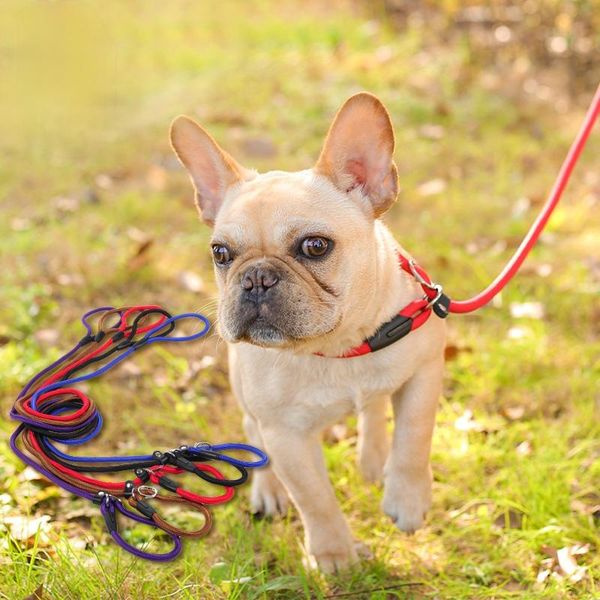 pet supplies teddy dog tow rope chain large collar p comfortable nylon material 3 colors collars & leashes
pet supplies teddy dog tow rope chain large collar p comfortable nylon material 3 colors collars & leashes