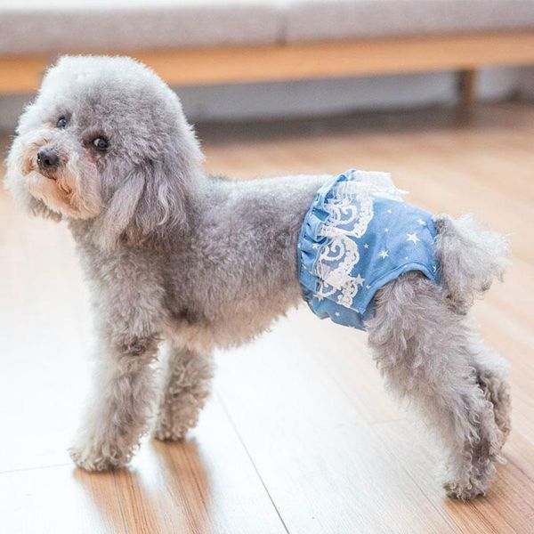 dog apparel pet auntie pants dot soft breathable menstrual teddy bomei bear safety physiological
dog apparel pet auntie pants dot soft breathable menstrual teddy bomei bear safety physiological