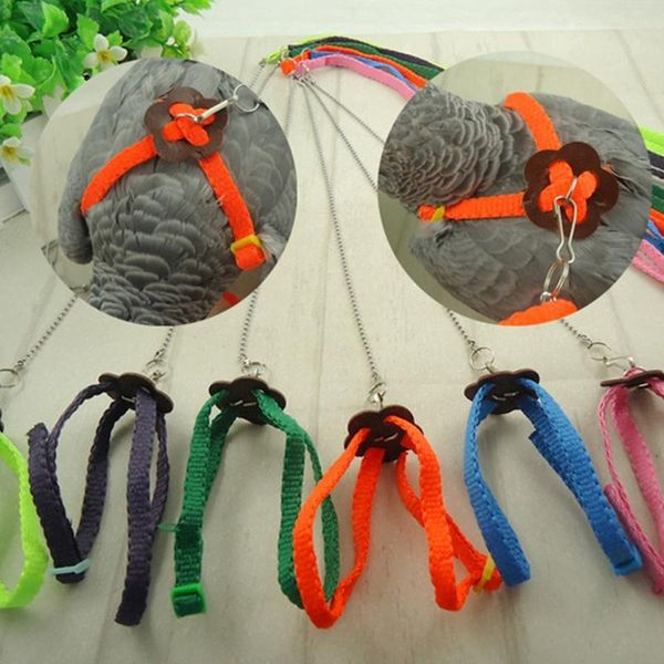 other bird supplies parrot leash outdoor adjustable harness training rope anti bite flying band soft comfortable drop ship
other bird supplies parrot leash outdoor adjustable harness training rope anti bite flying band soft comfortable drop ship