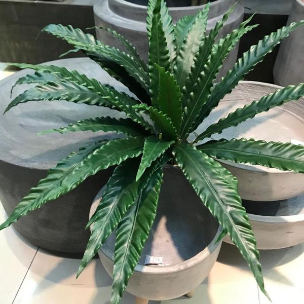 decorative flowers & wreaths 76cm 6pcs large artificial fern plants green fake tropical palm leaf plastic flower arrangement wall home decor
decorative flowers & wreaths 76cm 6pcs large artificial fern plants green fake tropical palm leaf plastic flower arrangement wall home decor