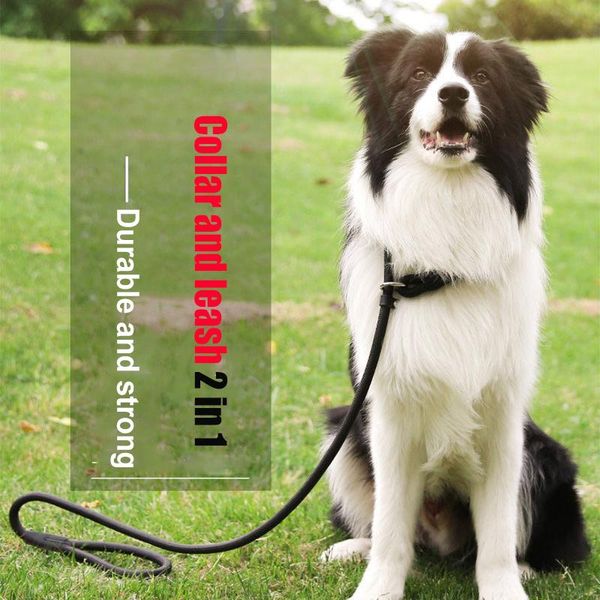 tangyoung nylon adjustable pet dog lead leash control restraint soft strap durable trainning puppy rope for big bull dulldog collars & leash
tangyoung nylon adjustable pet dog lead leash control restraint soft strap durable trainning puppy rope for big bull dulldog collars & leash