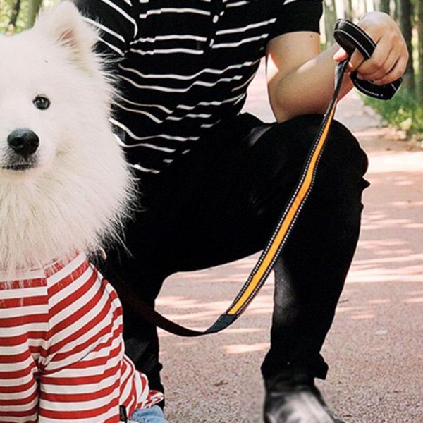 dog collars & leashes nylon pet luminous collar night safety flashing glow in dark cat leash adjustable accessories
dog collars & leashes nylon pet luminous collar night safety flashing glow in dark cat leash adjustable accessories