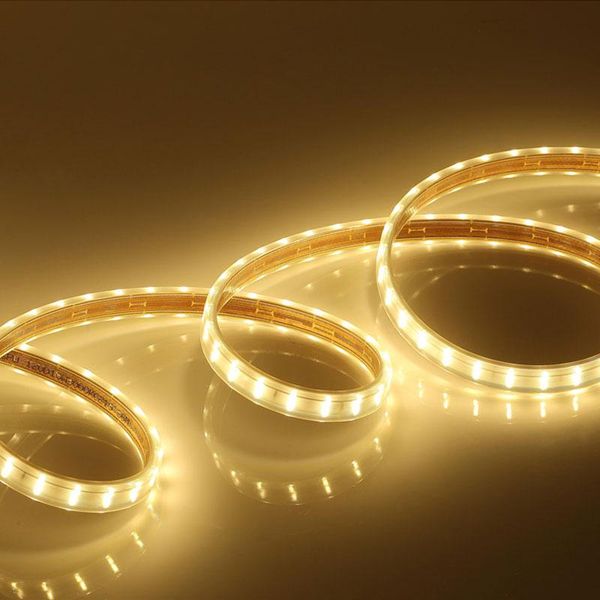 flicker 220v led strip 2835 strips flexible ribbon tira light outdoor waterproof
flicker 220v led strip 2835 strips flexible ribbon tira light outdoor waterproof