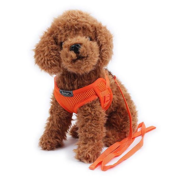 dog collars & leashes 1pcs tiny pet harness lead set teacup mini puppy chihuahua cat toys
dog collars & leashes 1pcs tiny pet harness lead set teacup mini puppy chihuahua cat toys