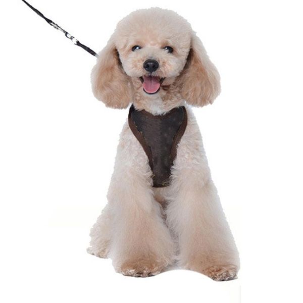 dog collars & leashes jopet pet harnesses brand designer's mesh back ventilation adjustable vest traction rope chest strap supplies
dog collars & leashes jopet pet harnesses brand designer's mesh back ventilation adjustable vest traction rope chest strap supplies