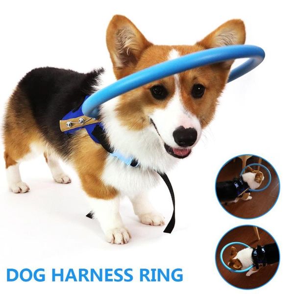 dog collars & leashes blind pet anti-collision ring scorpion cataract animal protection circle guide harness for small puppy dogs yorkies
dog collars & leashes blind pet anti-collision ring scorpion cataract animal protection circle guide harness for small puppy dogs yorkies