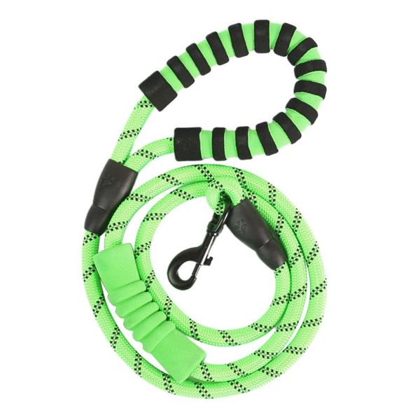 running night safety anti lost durable leash strong slip rope reflective for dogs outdoor walking neck double handles practical dog collars
running night safety anti lost durable leash strong slip rope reflective for dogs outdoor walking neck double handles practical dog collars