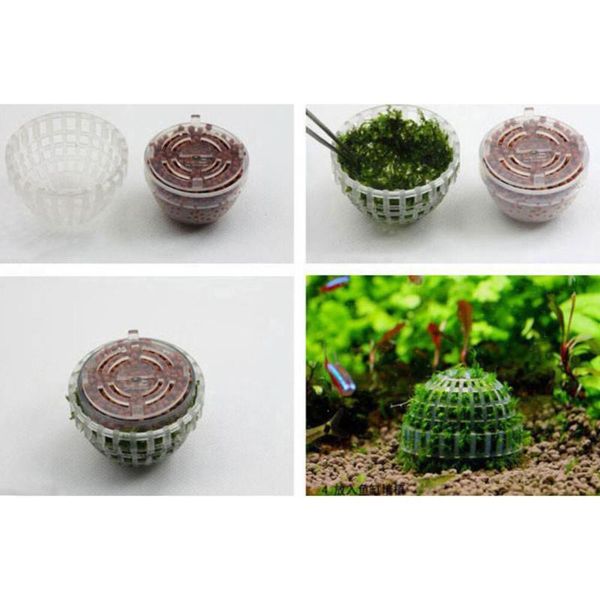 decorations 1pc live plants holder fish tank media moss ball filter aquarium tree aquatic pets mineral balls decoration
decorations 1pc live plants holder fish tank media moss ball filter aquarium tree aquatic pets mineral balls decoration