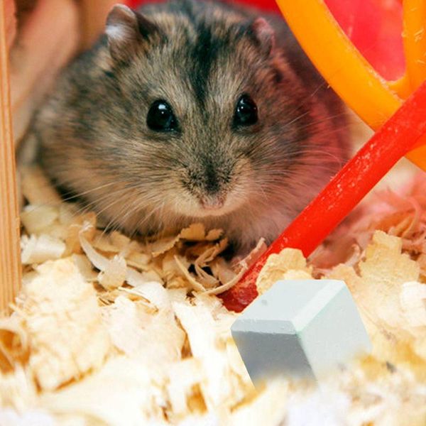small animal supplies natural mineral teeth stone guinea pig hamster grinding pet dental care chew toys pets
small animal supplies natural mineral teeth stone guinea pig hamster grinding pet dental care chew toys pets