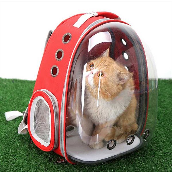 cat carriers,crates & houses transparent space pet backpack dog carrier bag breathable travel carriers supplies
cat carriers,crates & houses transparent space pet backpack dog carrier bag breathable travel carriers supplies