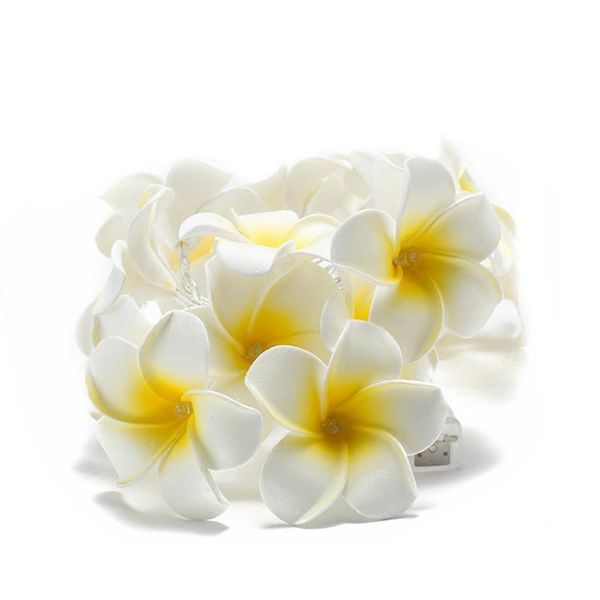 christmas decorations 1.5m 10pcs white foam hawaiian artificial plumeria flower garland fairy lights battery powered diy home wedding decora
christmas decorations 1.5m 10pcs white foam hawaiian artificial plumeria flower garland fairy lights battery powered diy home wedding decora