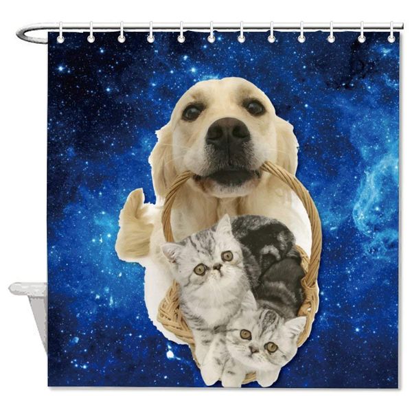 canidae carnivore dog dog breed labrador retriever mammal retriever sky snout bath decorative shower curtain bathroom
canidae carnivore dog dog breed labrador retriever mammal retriever sky snout bath decorative shower curtain bathroom