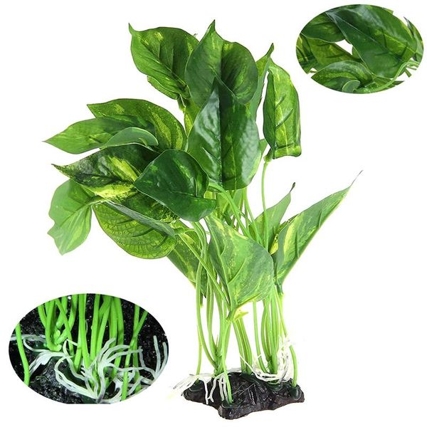 decorations aquarium simulation soft water grass fish tank green seaweed plant ornamental
decorations aquarium simulation soft water grass fish tank green seaweed plant ornamental