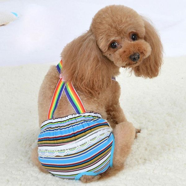 dog apparel pet shorts diaper sanitary physiological pants washable female short panties menstruation underwear briefs(blue stripes
dog apparel pet shorts diaper sanitary physiological pants washable female short panties menstruation underwear briefs(blue stripes