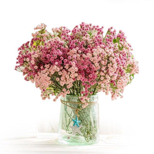 gypsophila artificial flowers 52cm 90 heads plastic babies breath for wedding bouquet home decoration fake decorative & wreaths
gypsophila artificial flowers 52cm 90 heads plastic babies breath for wedding bouquet home decoration fake decorative & wreaths
