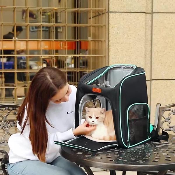 cat carriers,crates & houses pet backpack breathable portable bag and dog transparent visible folding outdoor carry-on articles
cat carriers,crates & houses pet backpack breathable portable bag and dog transparent visible folding outdoor carry-on articles