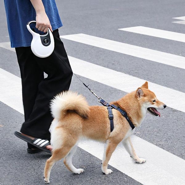 dog collars & leashes @he 3-in-1 tractor 8 m long with led lamp garbage bag multi-function traction rope for big
dog collars & leashes @he 3-in-1 tractor 8 m long with led lamp garbage bag multi-function traction rope for big