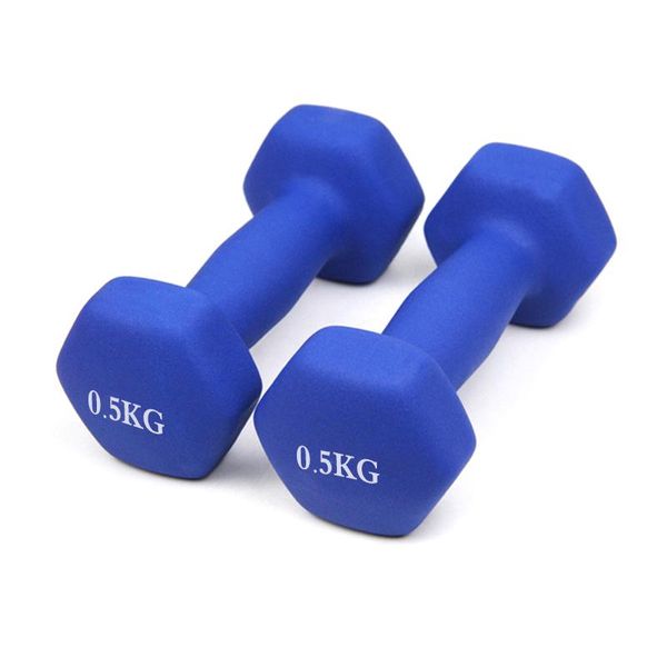 2pcs 0.5kg dumbbells fitness home gym exercise training women men kid workout weightlifting rack holder
2pcs 0.5kg dumbbells fitness home gym exercise training women men kid workout weightlifting rack holder