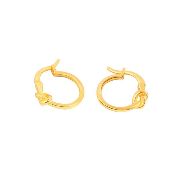 hoop & huggie hip hop punk knot small earrings for women korean fashion jewelry statement aretes de mujer wholesale kolczyki, Golden;silver
hoop & huggie hip hop punk knot small earrings for women korean fashion jewelry statement aretes de mujer wholesale kolczyki, Golden;silver