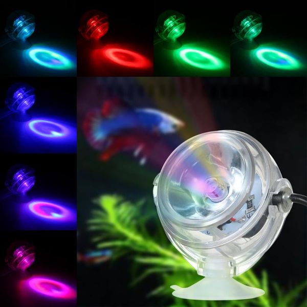 aquariums lighting 5v 1.2a submersible led light for aquarium colorful lamp electronic fish tank decorative color changing eu
aquariums lighting 5v 1.2a submersible led light for aquarium colorful lamp electronic fish tank decorative color changing eu