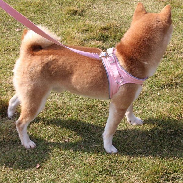 reflective dog lightweight velvet harness for small and medium dogs walking chest strap veste collars & leashes
reflective dog lightweight velvet harness for small and medium dogs walking chest strap veste collars & leashes