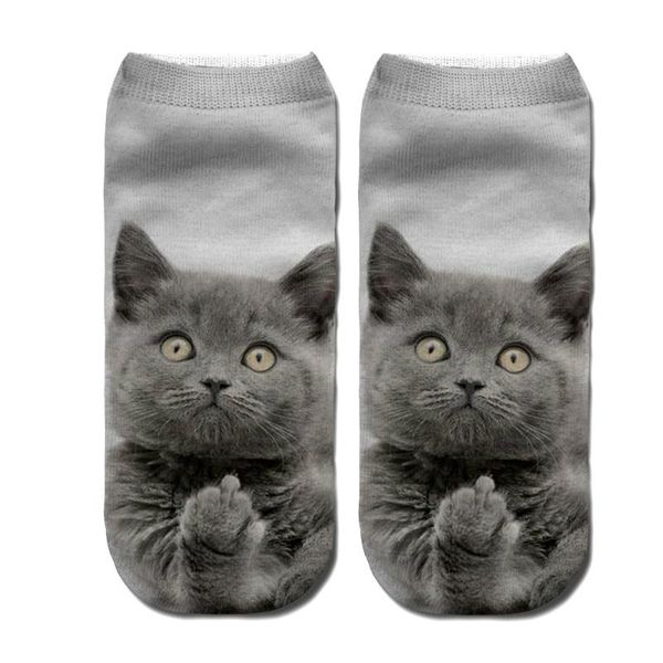 socks & hosiery cute 3d printed cat pattern boat slipper short ankle winter autumn for woman men, Black;white
socks & hosiery cute 3d printed cat pattern boat slipper short ankle winter autumn for woman men, Black;white