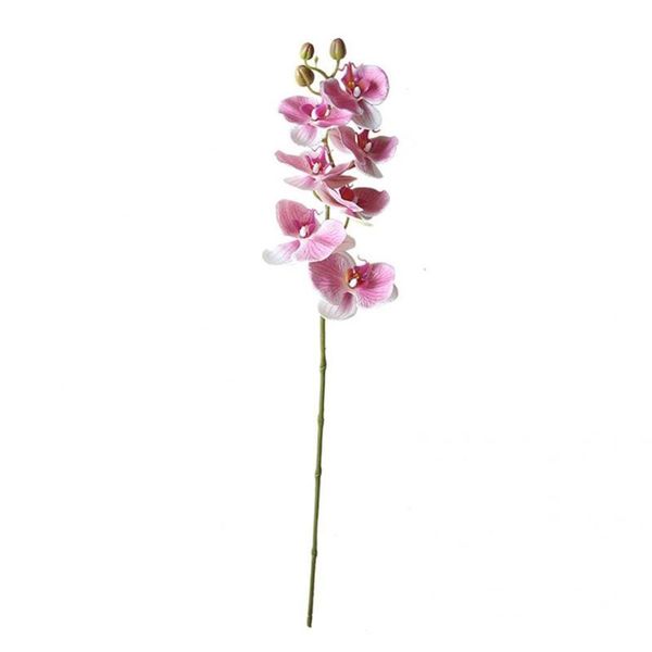 lightweight 1pc beautiful faux orchid plant living room bathroom decor plastic flower vivid color for parks decorative flowers & wreaths
lightweight 1pc beautiful faux orchid plant living room bathroom decor plastic flower vivid color for parks decorative flowers & wreaths