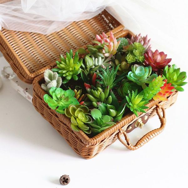 decorative flowers & wreaths green flocking artificial succulents plants plant for home garden decoration flower arrangement bathroom access
decorative flowers & wreaths green flocking artificial succulents plants plant for home garden decoration flower arrangement bathroom access
