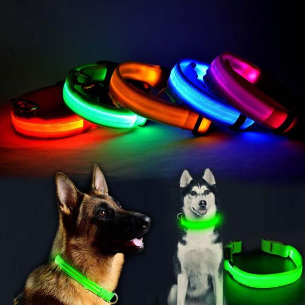 dog collars & leashes usb charging led collar anti-lost light for dogs night safety cool flashing glow luminous supplies pet products
dog collars & leashes usb charging led collar anti-lost light for dogs night safety cool flashing glow luminous supplies pet products