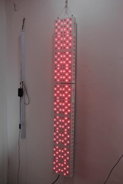 factory sale price joint pain relief red and nir combined light therapy grow lights
factory sale price joint pain relief red and nir combined light therapy grow lights