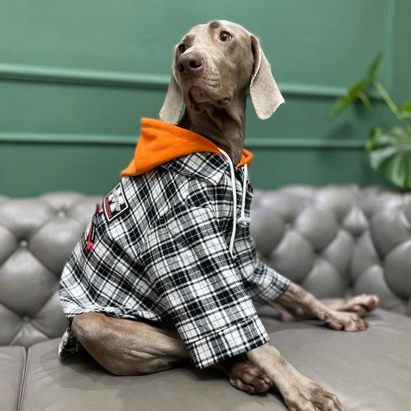 dog apparel large clothes autumn and winter warm golden retriever, labrador, doberman, thick jacket coats
dog apparel large clothes autumn and winter warm golden retriever, labrador, doberman, thick jacket coats