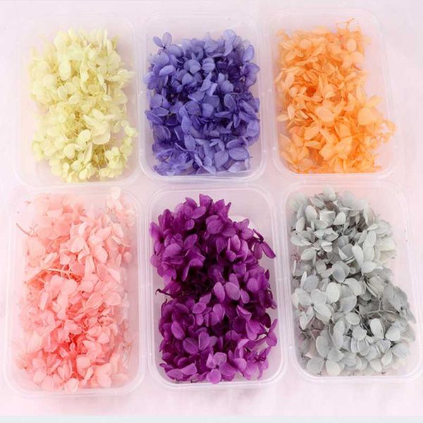decorative flowers & wreaths 1 box natural dried hydrangea flower for diy epoxy resin craft jewelry making candle accessories
decorative flowers & wreaths 1 box natural dried hydrangea flower for diy epoxy resin craft jewelry making candle accessories