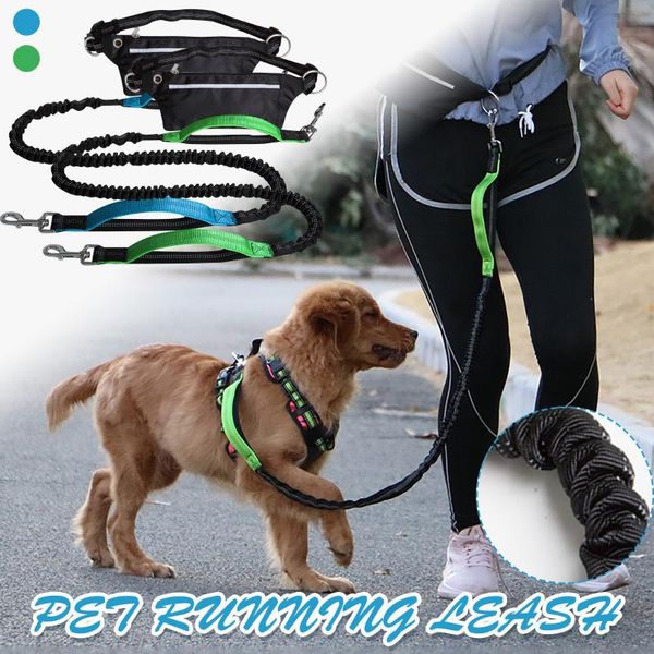 dog collars & leashes nylon harness leash for medium large dogs leads pet training running walking safety mountain climb ropes supplie#8
dog collars & leashes nylon harness leash for medium large dogs leads pet training running walking safety mountain climb ropes supplie#8