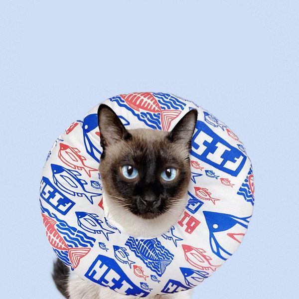 cat collars & leads pet dog protect collar wound healing cone supplies anti-bite cotton elastic cover
cat collars & leads pet dog protect collar wound healing cone supplies anti-bite cotton elastic cover